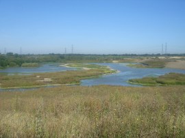 current view of Beddington Farmlands